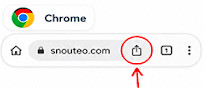 Chrome