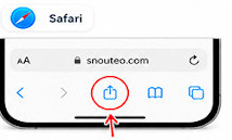 Safari